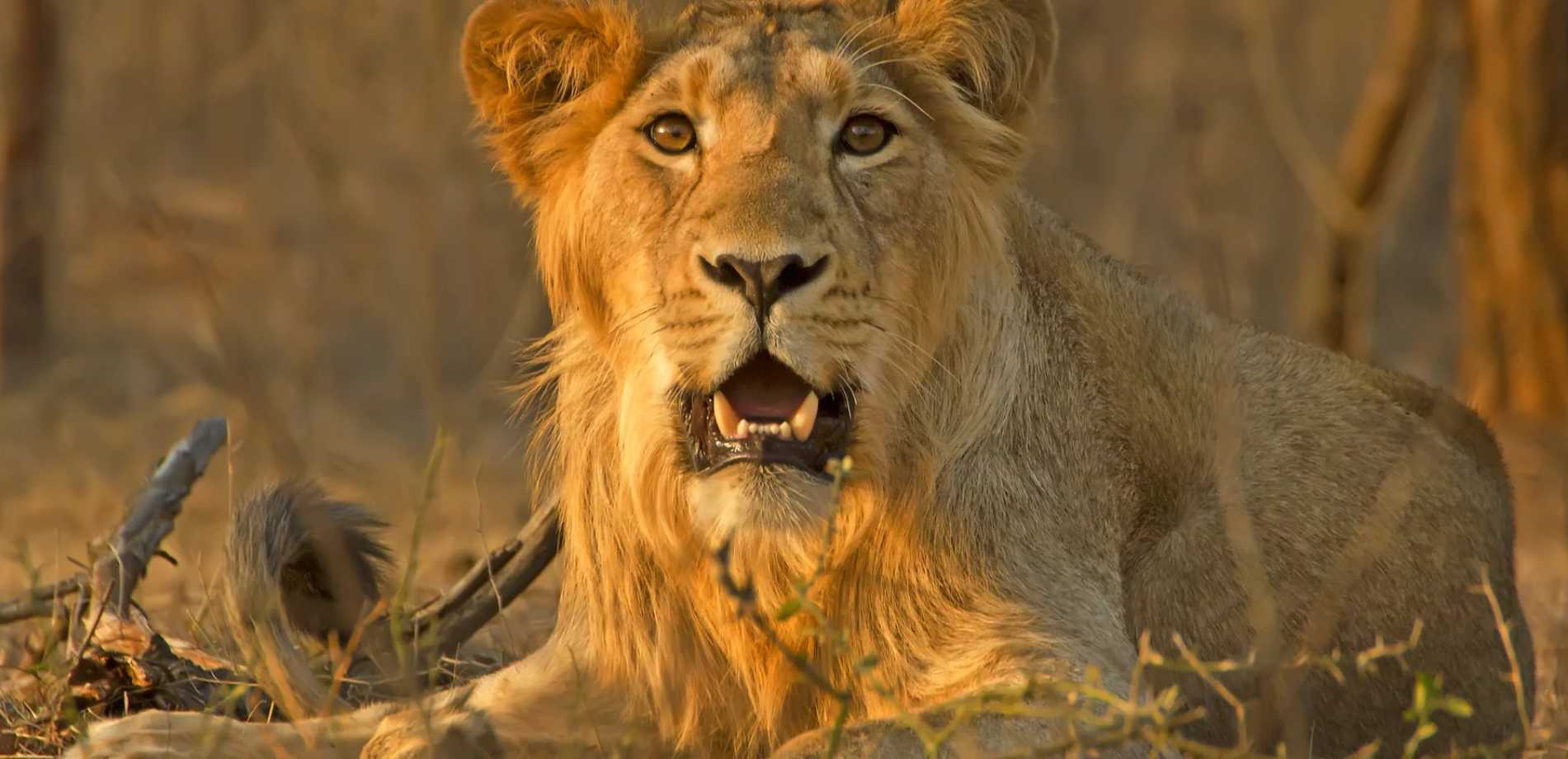 Gujarat Heritage Tour